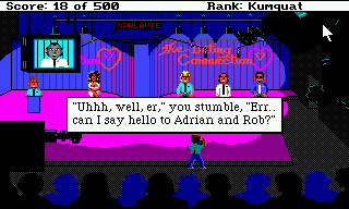 Leisure Suit Larry goes Looking for Love (In Several Wrong Places)